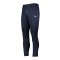 Nike Park 20 Trainingshose Damen Blau F451 - blau