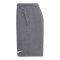 Nike Park 26 Sweatshort Grau F071 - grau