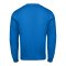 Nike Park 26 Sweatshirt Blau F463 - blau