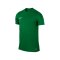 Nike Park VI Trikot kurzarm Grün F302 - gruen