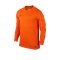 Nike Park VI Trikot langarm Kids Orange F815 - orange