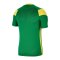 Nike Park Derby III Trikot Grün F303 - gruen