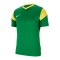 Nike Park Derby III Trikot Grün F303 - gruen