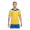 Nike Park Derby IV Trikot Gelb Blau F720 - gelb