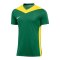 Nike Park Derby IV Trikot Kids Grün Gelb F303 - gruen