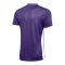 Nike Park Derby IV Trikot Kids Lila Weiss F547 - lila