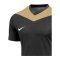 Nike Park Derby IV Trikot Kids Schwarz Gold F011 - schwarz