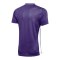 Nike Park Derby IV Trikot Lila Weiss F547 - lila