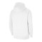 Nike Park 20 Fleece Hoody Weiss Grau F101 - weiss