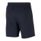 Nike Park 20 Fleece Short Blau Weiss F451 - blau