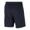 Nike Park 20 Fleece Short Kids Blau Weiss F451 - blau