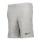 Nike Park 20 Fleece Short Kids Grau Schwarz F063 - grau