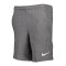 Nike Park 20 Fleece Short Kids Grau Weiss F071 - grau