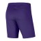 Nike Park III Short Kids Lila F547 - lila