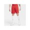 Nike Park III Short Rot F657 - rot