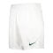Nike Park III Short Weiss Grün F102 - weiss