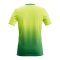 Nike Park Shadow Trikot Gelb F700 - gelb
