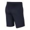 Nike Park 20 Knit Short Blau Weiss F451 - blau