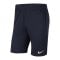 Nike Park 20 Knit Short Blau Weiss F451 - blau