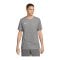 Nike Park 20 Dry T-Shirt Grau Weiss F071 - grau