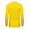 Nike Park V Torwarttrikot Langarm Damen Gelb F718 - gelb