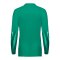 Nike Park V Torwarttrikot Langarm Damen Grün F324 - gruen