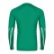 Nike Park V Trikot langarm Grün F324 - gruen