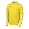Nike Park V Trikot langarm Kids Gelb F718 - gelb