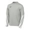Nike Park V Trikot langarm Kids Grau F097 - grau