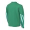Nike Park V Trikot langarm Kids Grün F324 - gruen