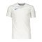 Nike Park VII Trikot Kids Weiss Blau F102 - weiss