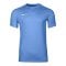 Nike Park VIII Trikot Blau F412 - blau