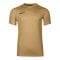 Nike Park VIII Trikot Gold F729 - gold
