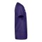 Nike Park VIII Trikot Kids Lila F547 - lila