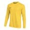 Nike Park VIII Trikot langarm Gelb F719 - gelb