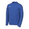 Nike Park VIII Trikot langarm Kids Blau F463 - blau