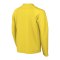 Nike Park VIII Trikot langarm Kids Gelb F719 - gelb