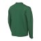 Nike Park VIII Trikot langarm Kids Grün F302 - gruen