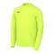 Nike Park VIII Trikot langarm Kids Grün F702 - gruen