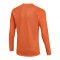 Nike Park VIII Trikot langarm Orange F819 - orange