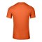 Nike Park VIII Trikot Orange F819 - orange