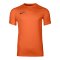 Nike Park VIII Trikot Orange F819 - orange