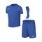 Nike Park VIII Trikot Set Kids Blau F463 - blau