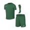 Nike Park VIII Trikot Set Kids Grün F302 - gruen