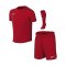 Nike Park VIII Trikot Set Kids Rot F657 - rot