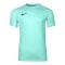 Nike Park VIII Trikot Türkis F354 - tuerkis