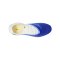 Nike Phantom 6 Low Elite Pro-Player-Edition SG-Pro Fear Nothing Blau F400 - blau
