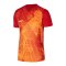 Nike Precision VI Trikot Rot F657 - rot