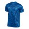 Nike Precision VII Trikot Blau F463 - blau