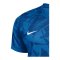 Nike Precision VII Trikot Kids Blau F463 - blau